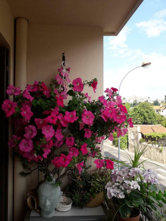 Chez L’habitant Chez Nadine * Cagnes-sur-Mer